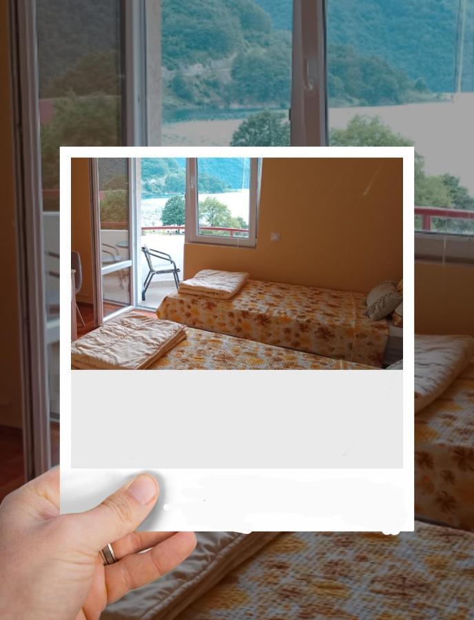 Studio Apartman D&S Plužine Ngoại thất bức ảnh